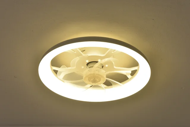 BLT-CFL818 Φ450mm Minimalist Hidden Blade Ceiling Fan Light