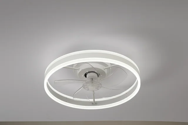 BLT-CFL856 Φ500mm Double-Ring Frosted Hidden Blade Ceiling Fan Light